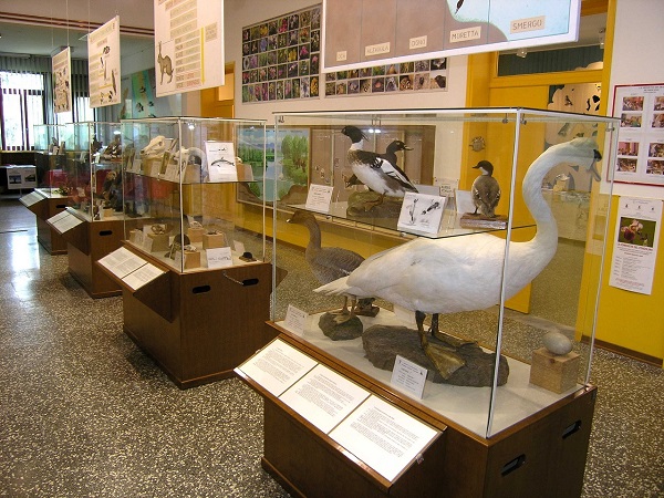 Associazione culturale naturalistica "Il Pendolino"