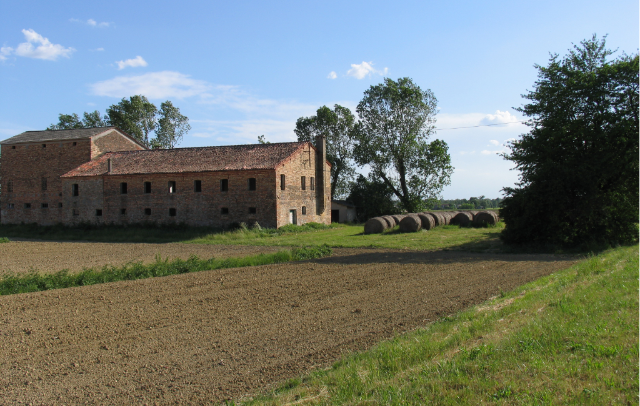 Il Mondo rurale: un viaggio nella trasformazione della nostra campagna