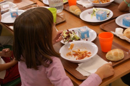 Servizio di refezione scolastica 2019/2020