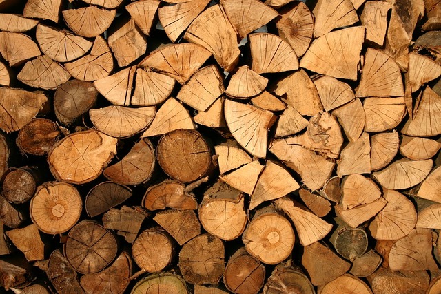 Avviso alla popolazione disponibilità materiale legnoso derivante da taglio alberature presenti sui corpi arginali demaniali del Fiume Piave da parte della Regione Veneto